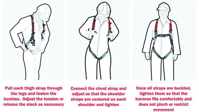 How to put a harness on.